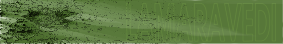 LAMARAVEDI - NUEVA  PÁGINA PRINCIPAL